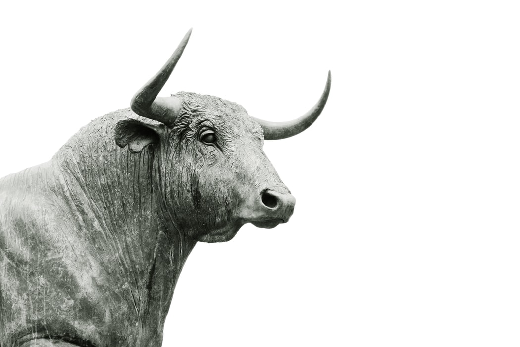 When Will Bulls Come Back From Hibernation?
