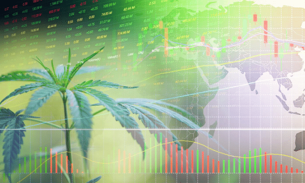 The Return of the Cannabis Sector?