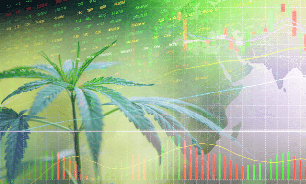 Pot Stocks Are Back in a BIG Way. Try This Under-the-Radar Name