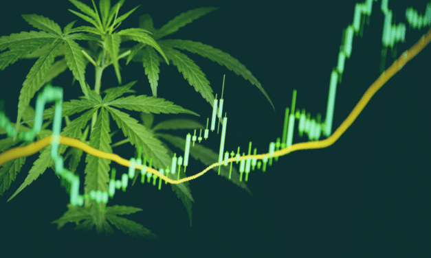 What’s Next for Pot Stocks?: 4 Charts Traders Must See Right Now
